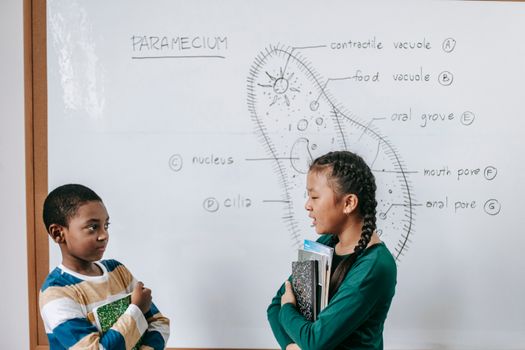 Il paradosso della sovraistruzione: valore e futuro dei docenti
