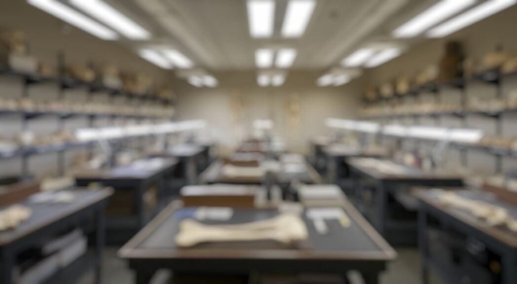 Lavoro giovanile e scuola: come la formazione guida il futuro