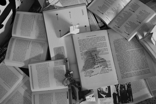 Libri vs Web: il dibattito sull'apprendimento digitale a scuola