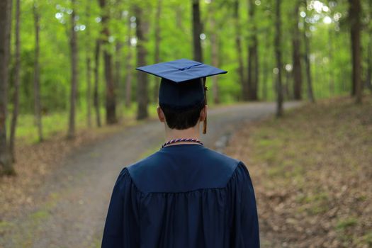 Maturità 2026: l'analisi della traccia di Wenke Husmann