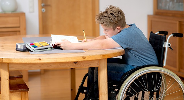 Sostegno scolastico: la lettera dello studente disabile al Quirinale