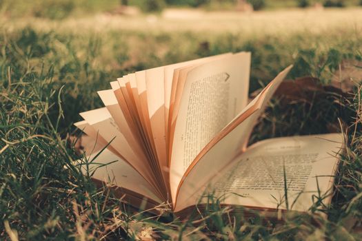 Summer learning loss: come combattere la perdita di competenze